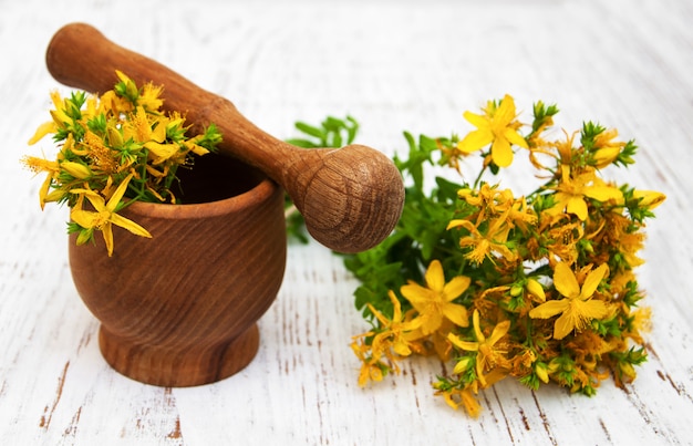 Tutsan flowers  and mortar