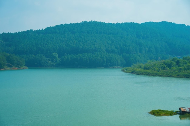 ダラットベトナムのトゥエンラム湖ベトナムのエコ旅行のための美しい風景松林に囲まれた素晴らしい湖は水上で素晴らしいシーンボートを作りますダラットの田園地帯は休暇で有名な場所です