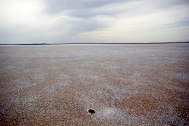 Tuz Golu Turkey Salt Lake White salt water