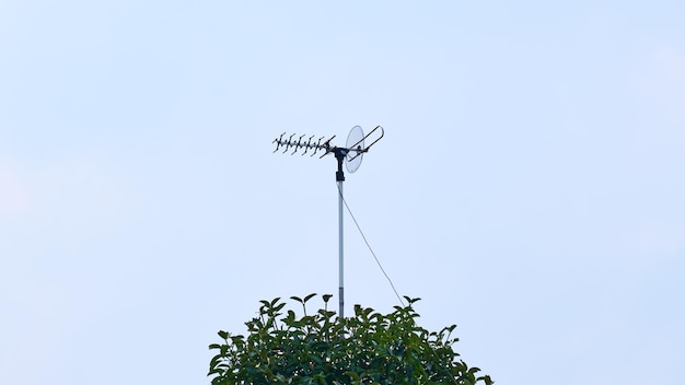 TV antenna installed on a tree