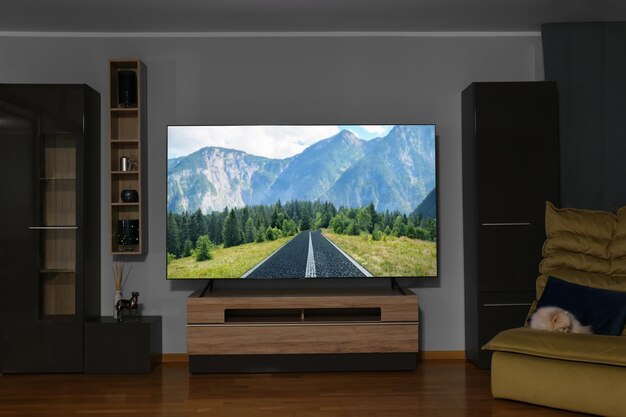 Tv with nature show on screen in cozy room