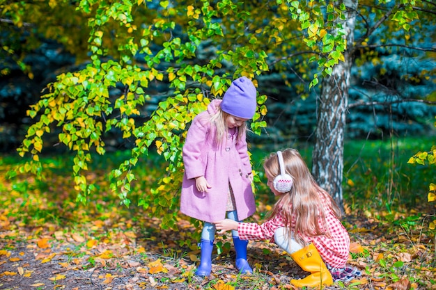 Twee aanbiddelijke meisjes in bos bij warme zonnige de herfstdag