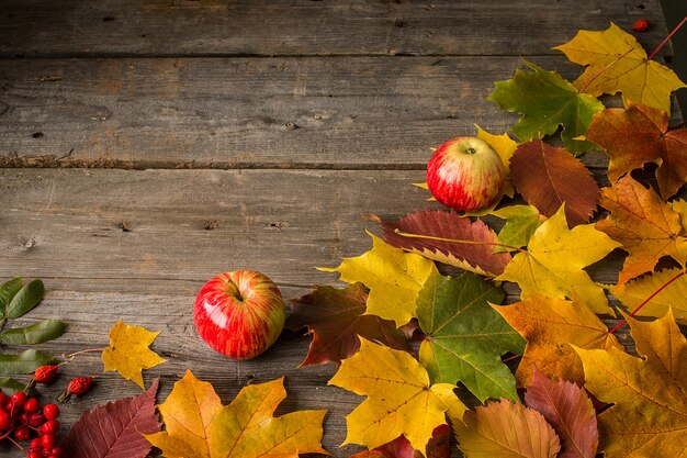 Twee appelen en de herfstbladeren op houten achtergrond