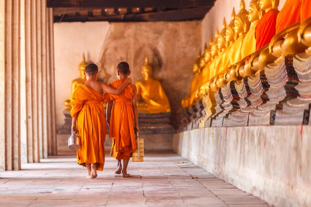 Twee beginners het terugkeren en het spreken in oude tempel in zonsondergangtijd, Ayutthaya-Provincie, Thailand