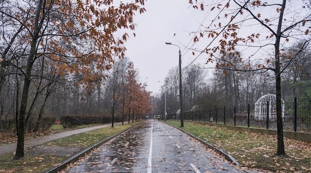 twee bereden politieagenten rijden in de verte op paard langs de weg in de herfst