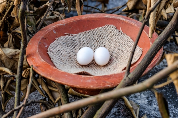 Twee binnenlandse duiveneieren op een kleiterracotta nest van dichtbij bekijken