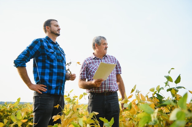 Twee boeren die in een veld staan en sojabonen onderzoeken voordat ze worden geoogst.