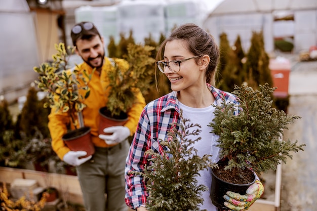 Twee botanicus die potten met groenblijvende bomen vasthoudt en deze verplaatst.