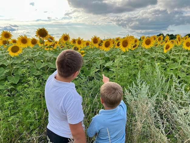 Twee broers spelen in de zonnebloemen bij zonsondergang Het concept van het dorpsleven en vriendschap