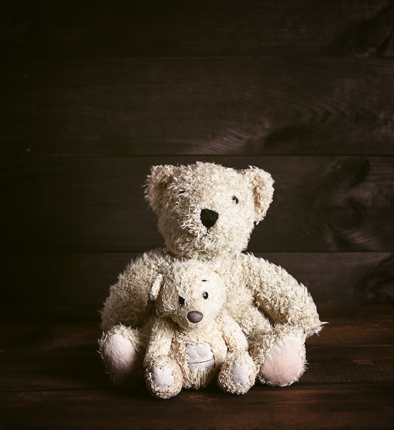 Twee bruine zachte teddyberen