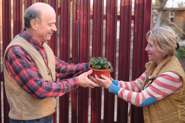 Twee buren man en vrouw kijken naar nieuwe plant in pot