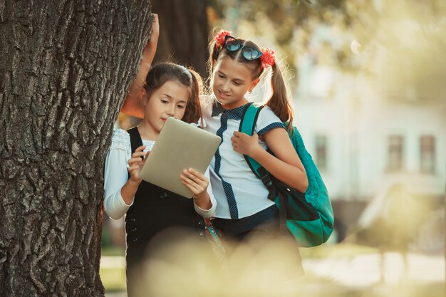 Twee charmante schoolgaande meisjes staan bij de boom bij de school en spelen op de tablet.