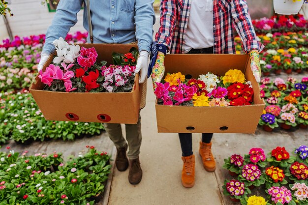 Twee eigenaren van kleine bedrijven wandelen in de kas en dozen met kleurrijke bloemen dragen.