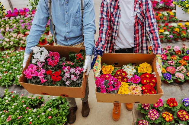 Twee eigenaren van kleine bedrijven wandelen in de kas en dozen met kleurrijke bloemen dragen