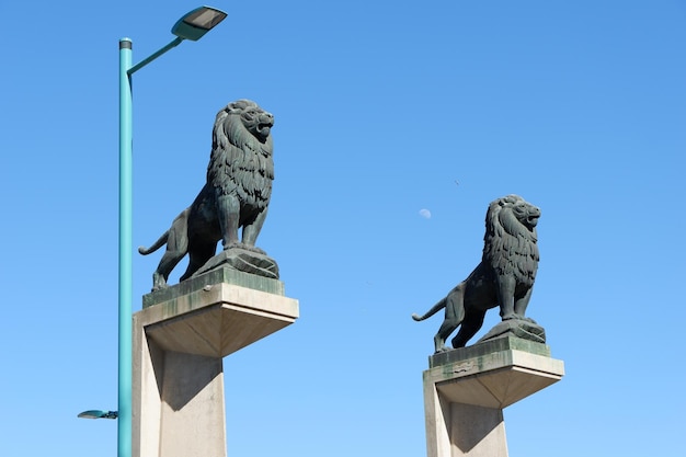 Twee figuren van leeuwen kijken uit op de stenen brug in het centrum van zaragoza, aragon, spanje