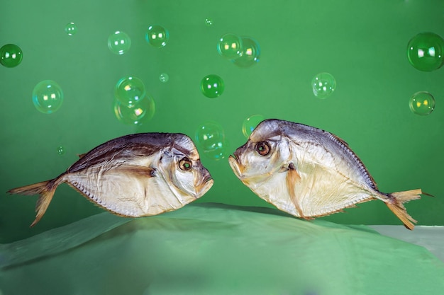 Foto twee gedroogde selene vomer vissen op een groene achtergrond met bubbels