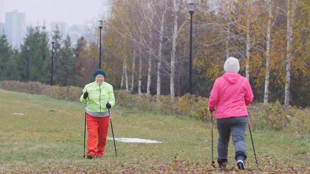 Twee gelukkige oudere vrouwen in het herfstpark hebben nordic walking in het koude herfstpark