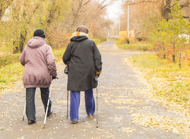 Twee gepensioneerde vrouwen gekleed in jassen zijn bezig met nordic walking in een herfstpark midden tussen de bomen