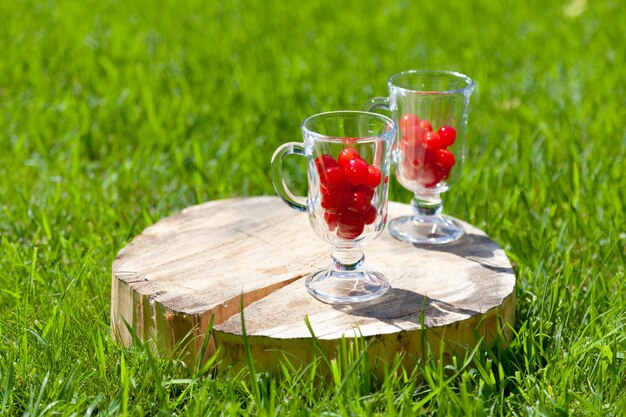 Twee glazen glazen met kersenbessen binnen staan op een houten standaard met een scheur op het groene gazon op een zonnige zomerdag.