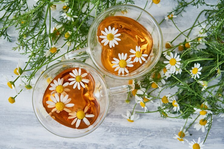 Twee glazen kopjes thee met kamille, verspreide kamillebloemen op grijs