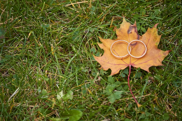 Twee gouden trouwringen op een oranje esdoornblad op een achtergrond van groen gras