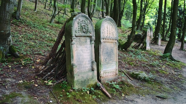 Twee grafstenen in oude begraafplaats