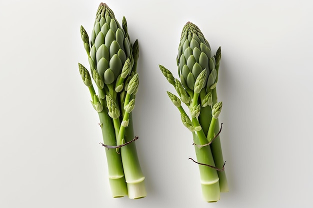 Twee groene asperges staan op een witte achtergrond.