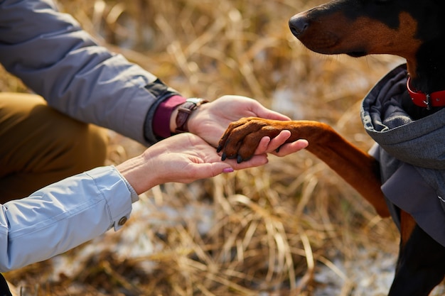 Twee handen familie en hondenpoot - vrouw, man en doberman