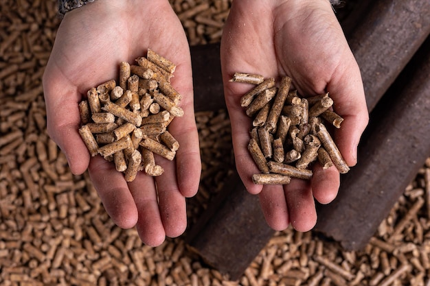 Foto twee handen houden hout vast - gestookte energie - hout besparen - gestookte energie - hout besparen - gestookte energie - hout besparen - gestookte energie - hout besparen - gestookte energie - hout besparen - gestookte energie -