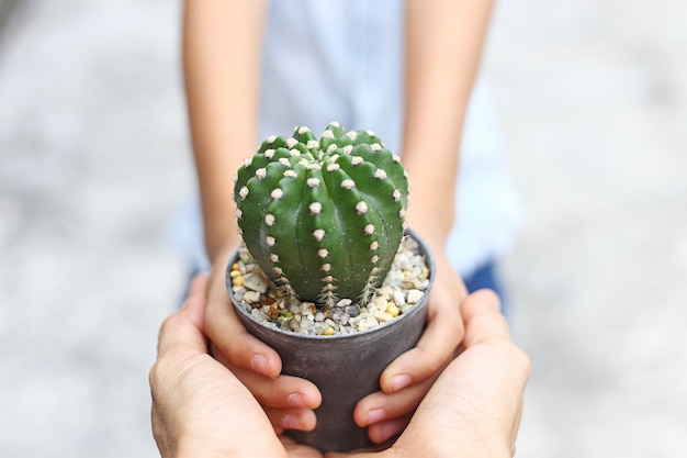 Twee handen houden pot van cactusplant samen