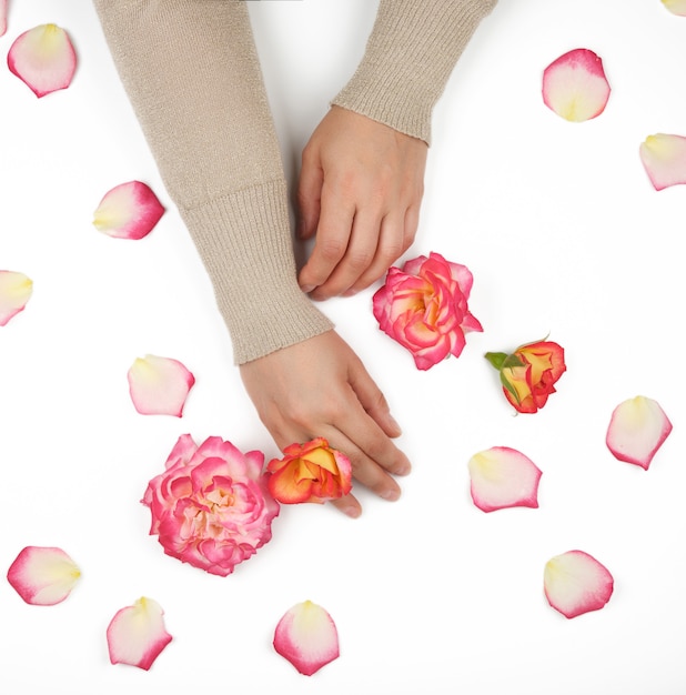 Twee handen van een jong meisje met gladde huid en roze rozenblaadjes op een witte achtergrond, bovenaanzicht