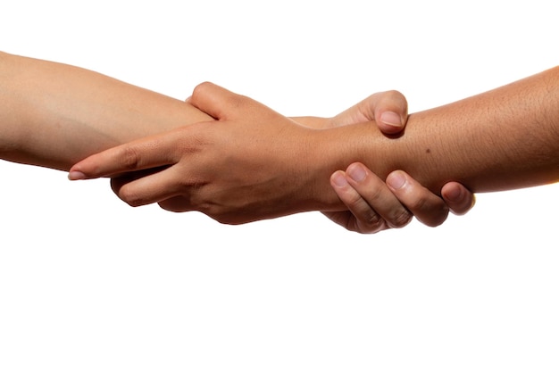 Twee handen vasthouden van de onderarm geïsoleerd op witte achtergrond Onderarm salute Concept van redding liefde vriendschap ondersteuning teamwerk partnerschap partnerschap menselijkheid en broederschap