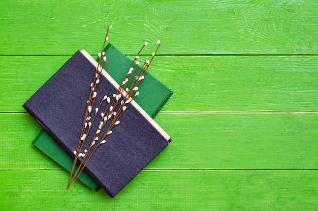 Twee hardcoverboeken op een groen hout en wilgentakken. Bovenaanzicht