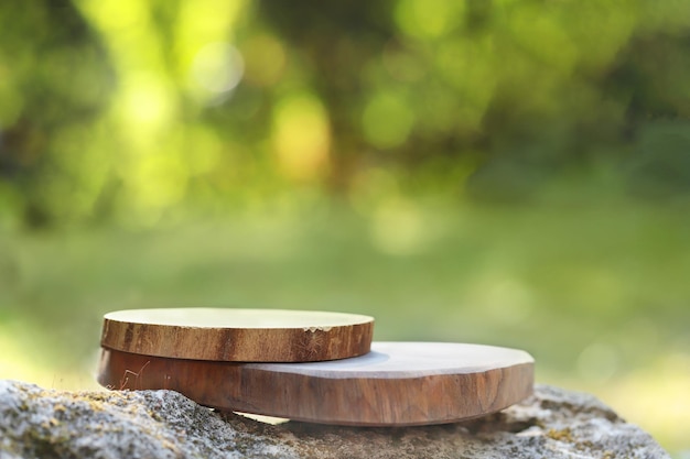 Twee houten ringen zitten op een rots, waarvan er één op de voorkant 'het woord' is gelabeld.