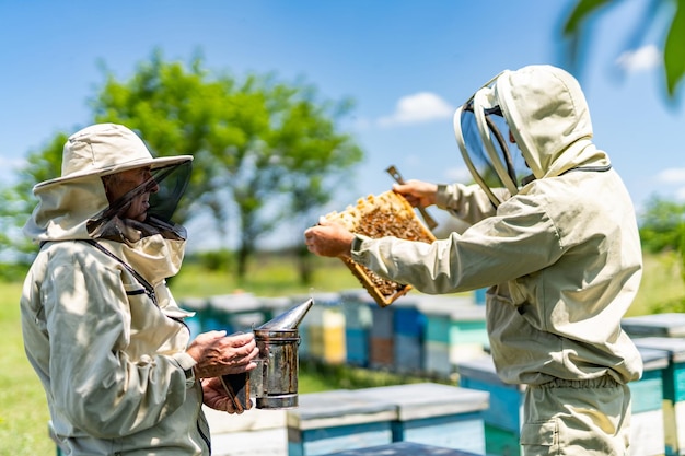 Twee imkers werken samen Beehive professionele boeren