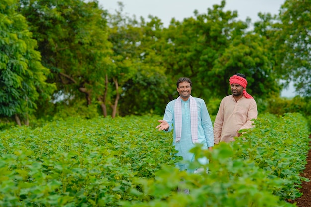 Twee Indiase boeren praten op katoenlandbouwgebied.