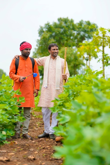 Twee indiase boeren werken en discussiëren op een groen katoenveld.