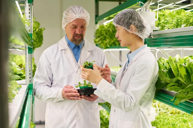 Twee interculturele professionals in laboratoriumjassen en petten praten over zaailingen