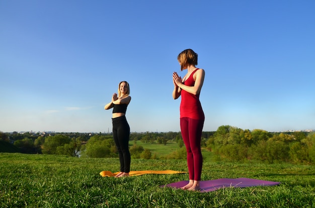 Twee jonge blonde meisjes in sportpakken beoefenen yoga