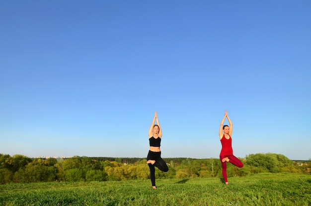 Twee jonge blonde meisjes in sportpakken beoefenen yoga