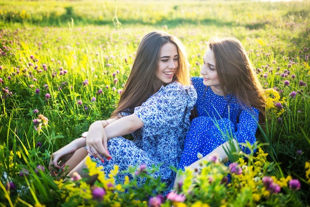 Twee jonge Europese mooie meisjes in een veld met wilde bloemen