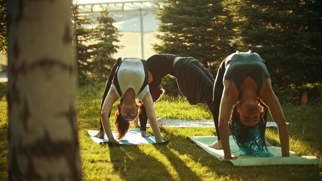 Twee jonge fitte vrouwen en een man die yoga-oefeningen doen in het park bij de dennen en berken