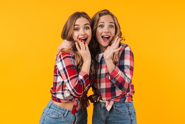 twee jonge mooie meisjes die een geruit overhemd dragen dat lacht en samen geïsoleerd knuffelt