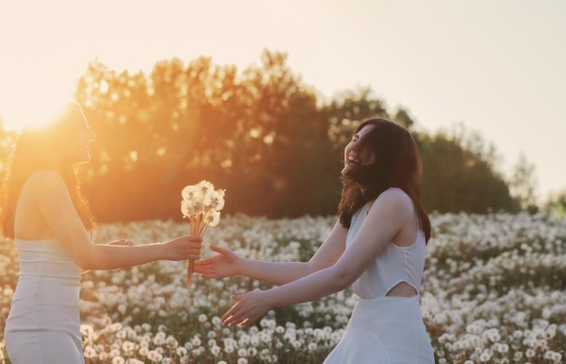 Twee jonge mooie meisjes op weide met paardebloemen bij zonsondergang