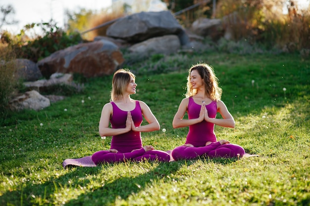 Twee jonge vriendinnen doen aan sport en yoga in het park