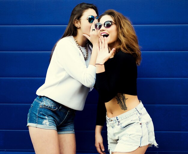 Twee jonge vriendinnen in zonnebril plezier