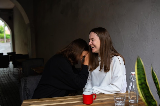 Twee jonge vrouwelijke vriendinnen communiceren en hebben plezier in een straatcafé