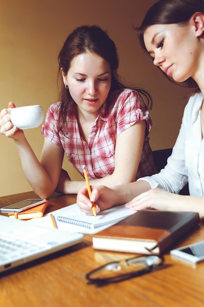 Twee jonge vrouwen die thuis werken