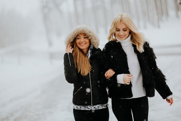 Twee jonge vrouwen in een winter park