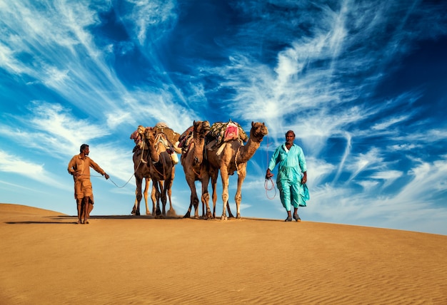 Twee kameeldrijvers kameelbestuurders met kamelen in de duinen van de thar-woestijn